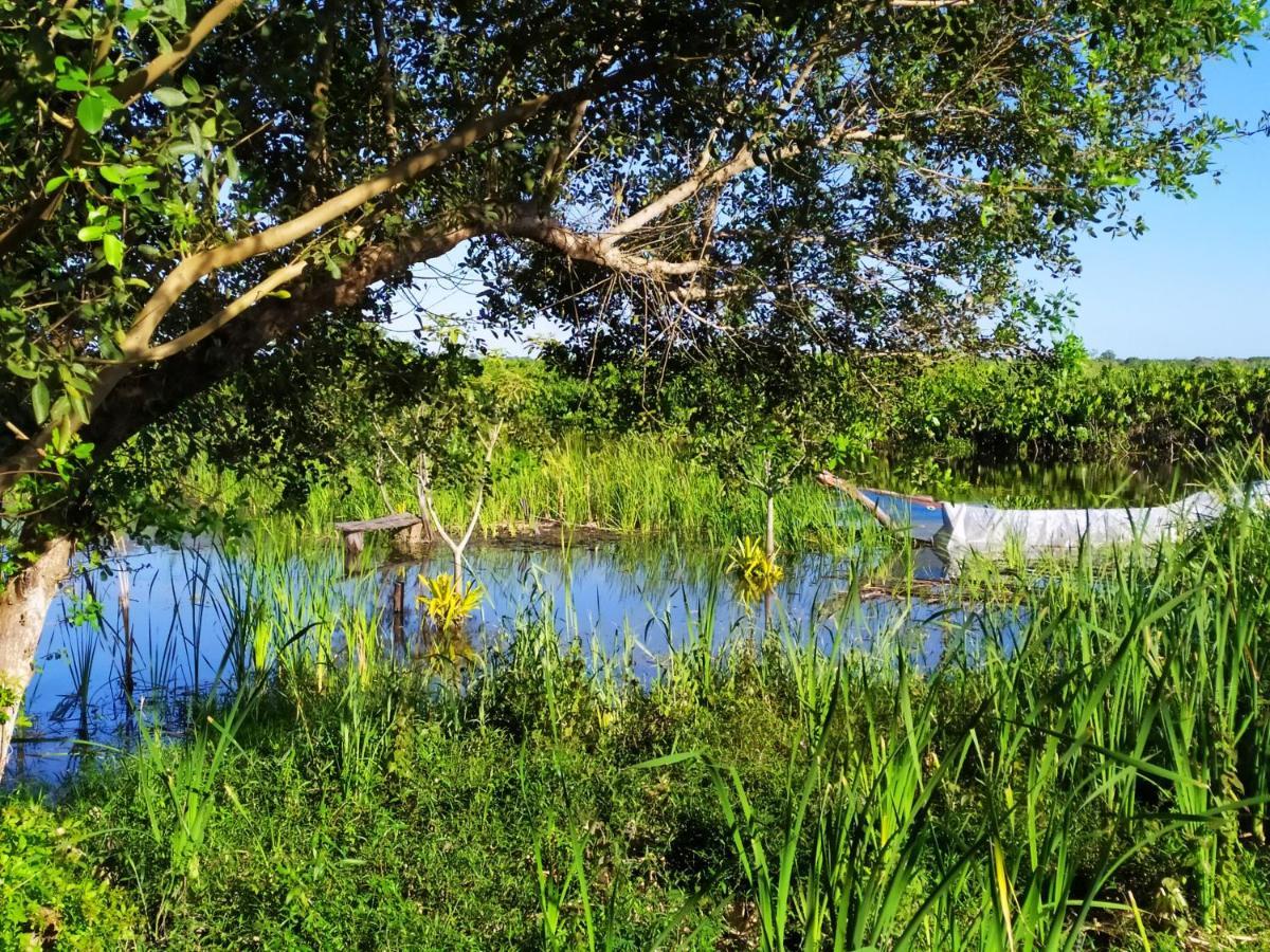 Pousada Mangue Seco Итаунас Экстерьер фото
